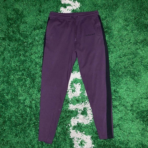 Alphalete Other - Alphalete Men’s Purple Drawstring Sweatpants Jogger Medium